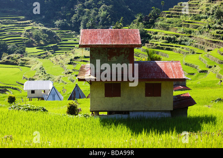 Haus unter den Reis Terrassen Batad Ifugao Provinz Northern Luzon Philippinen Stockfoto