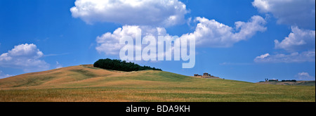 Große Panorama Blick über die Toskana im Sommer Stockfoto