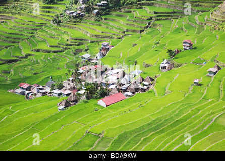 Reisterrassen und Batad Dorf Ifugao Provinz Northern Luzon Philippinen Stockfoto