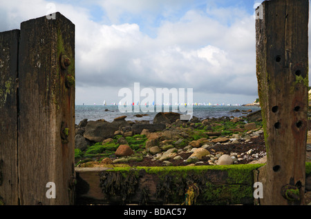 Isle Of Wight Round the Island Yacht Race Flotte von Yachten farbigen Spinnaker auf der Horizon-Strand-Breaker im Vordergrund Stockfoto