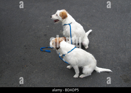 Szenen aus der Masham Burne Talabfahrt Juli 2009 Stockfoto