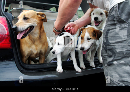 Szenen aus der Masham Burne Talabfahrt Juli 2009 Stockfoto