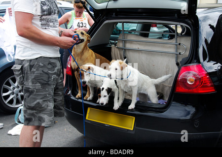 Szenen aus der Masham Burne Talabfahrt Juli 2009 Stockfoto