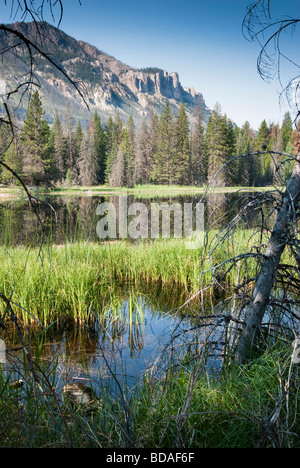 Reflexionen in einem See entlang Chief Joseph Scenic Byway in Wyoming