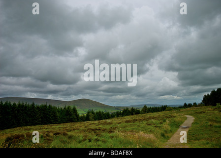 Beacon Fell Nationalpark, Sommer Stockfoto