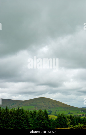 Beacon Fell Nationalpark, Sommer Stockfoto