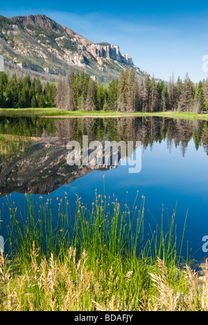 Reflexionen in einem See entlang Chief Joseph Scenic Byway in Wyoming