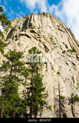 Ansicht des Devils Tower National Monument in Wyoming Stockfoto