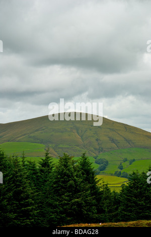 Beacon Fell Nationalpark, Sommer Stockfoto