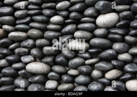 Kiesel auf einer Wand. Stockfoto