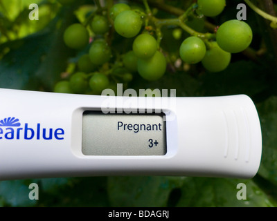 Ein Schwangerschaftstest Gerät zeigt ein positives Ergebnis schwangeres auf dem LCD-Display. (47) Stockfoto