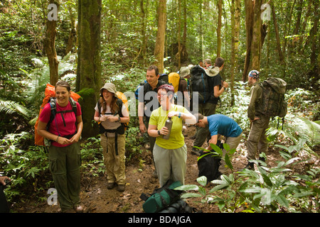 Indonesien Sulawesi Betrieb Wallacea Oberstufe Studenten ruht im Wald spazieren Stockfoto