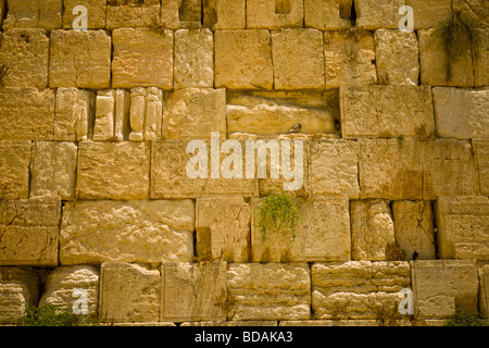 Nahaufnahme Detail von der Klagemauer in Jeruslaem Stockfoto