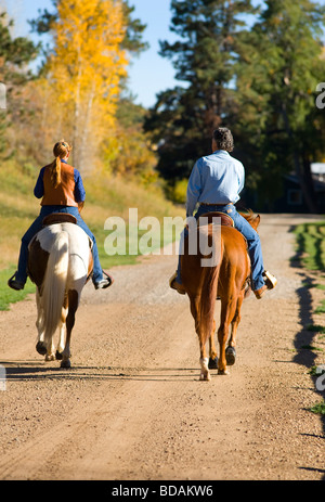 Paar Reitpferde auf ländlichen lane Stockfoto