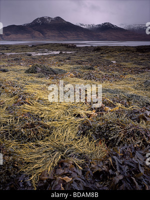 Ufer des Loch Na Keal Blick auf Ben More, Isle of Mull, Argyll, Schottland. Stockfoto