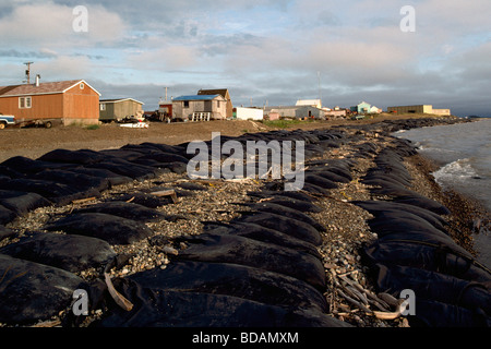 Sandsäcke / Sand Taschen Ufer gegen Erosion der Küste von Beaufort-See, Tuktoyaktuk, Nordwest-Territorien arktischen Kanada Stockfoto