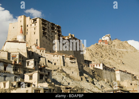Palast auf einem Hügel mit einer Festung und Gompa im Hintergrund, Leh Palace, Sieg Fort, Leh, Ladakh, Jammu und Kaschmir, Indien Stockfoto