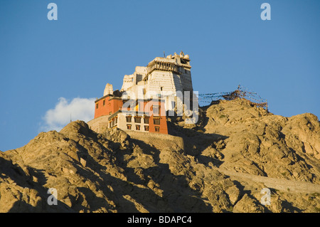 Fort und Gompa auf einem Hügel, Sieg Fort, Namgyal Tsemos Gompa, Leh, Ladakh, Jammu und Kaschmir, Indien Stockfoto