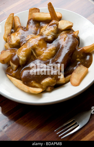 Frisch serviert Poutine - eine kanadische Zartheit bestehend aus Pommes Frites, Soße und Käse - in einem Restaurant in Toronto, Kanada. Stockfoto