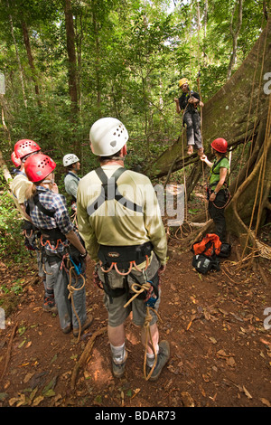 Indonesien Sulawesi Betrieb Wallacea Lambusango Waldreservat Baldachin Zugang Schüler Unterricht Stockfoto