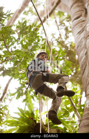 Indonesien Sulawesi Betrieb Wallacea Lambusango Waldreservat Baldachin Zugang Studenten hoch im Baum Stockfoto