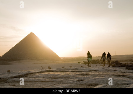 Pyramide von Gizeh gegen die Sonne am Abend. Stockfoto