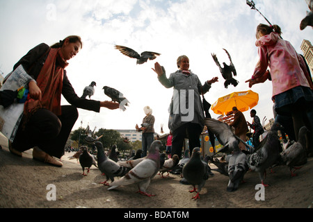 Leute spielen mit Tauben auf dem Platz Placa Catalunya befindet sich in der Stadt Barcelona in Spanien Stockfoto