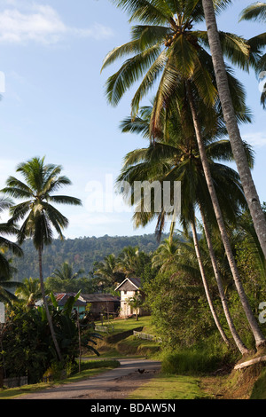 Indonesien Sulawesi Buton Labundo Bundo Holzhaus auf der Hauptstraße durch das Dorf Stockfoto