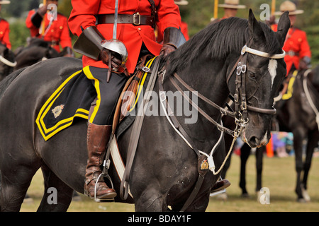 Royal Canadian Mounted Police musikalische fahren Victoria British Columbia Kanada Stockfoto