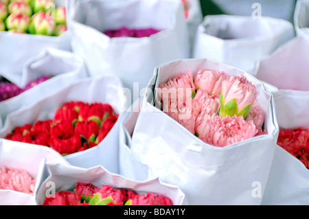 Rosa und rote Nelken Blumenmarkt Mong Kok Kowloon Hong Kong China Asien Stockfoto