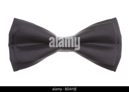 eine schwarze Fliege auf weißem Hintergrund Stockfoto