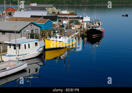 Fischerboote auf Regierung Wharf am crick oder Fisherman's Cove östlichen Passage Halifax Nova Scotia Stockfoto