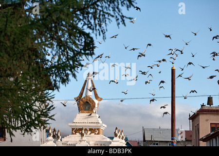 Vögel im Flug über eine buddhistische Tschörten (Stupa) Gandan Kloster, Ulaan Baatar, Mongolei Stockfoto