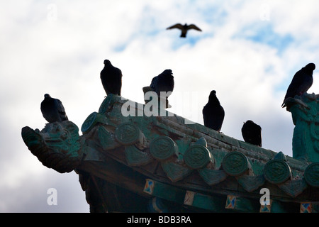 Vögel thront auf chinesische Art Dach Gandan Kloster, Ulaan Baatar, Mongolei Stockfoto