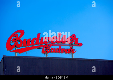 Tschechische Budweiser Bier Schild oben auf Gebäude in Ulaan Baatar, Mongolei Stockfoto