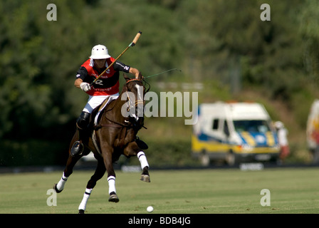 Polospieler im Galopp nach Ball während Spiels im Santa Maria Polo Club in Sotogrande, Spanien Stockfoto