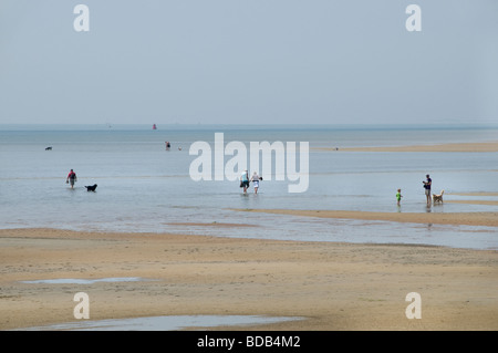 Terschelling Ebbe Flut fließen Meer Strandküste Niederlande Stockfoto
