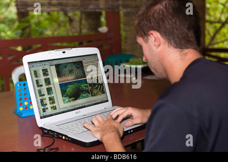 Indonesien-Sulawesi-Hoga-Betrieb-Wallacea Forscherin auf Laptop-Computer in der Bibliothek Stockfoto