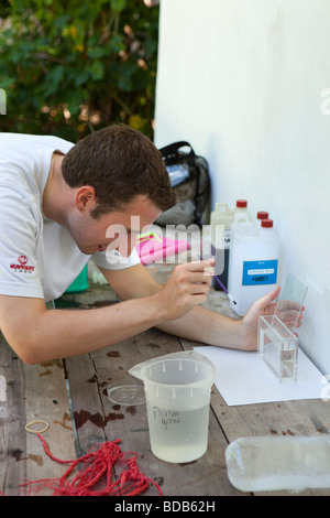 Indonesien-Sulawesi-Hoga-Betrieb-Wallacea Forscher untersuchen kleine Fischlarven Stockfoto