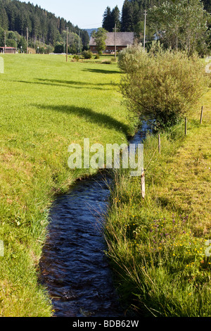 Breg-Fluss im Schwarzwald, Deutschland. Nach seinem Eintritt in Brigach Fluß bekannt es als die Donau. Stockfoto