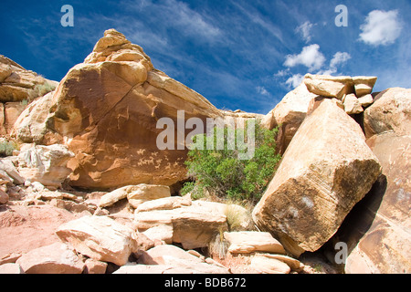 Arches-Nationalpark, Utah Stockfoto