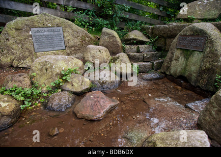 Breg Fluß Quellen sind die Danube River Quellen. Die Donau beginnt, wo die Flüsse Breg und Brigach im Schwarzwald Deutschland beitreten. Stockfoto