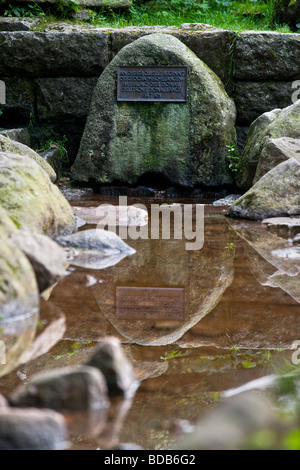 Platten, die den Beginn der Donau im Schwarzwald Deutschland. Breg Fluß Quellen sind die Danube River Quellen. Stockfoto