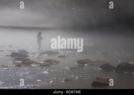 Einsamer Fliegenfischer im Morgennebel auf dem Smith River, Virginia, USA Stockfoto