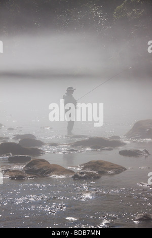 Einsamer Fliegenfischer im Morgennebel auf dem Smith River, Virginia, USA Stockfoto