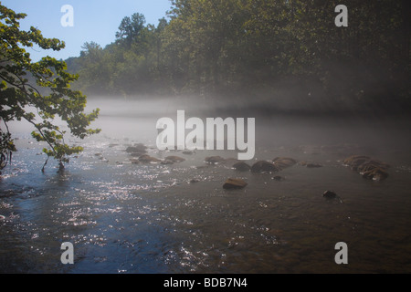 Einsamer Fliegenfischer im Morgennebel auf dem Smith River, Virginia, USA Stockfoto