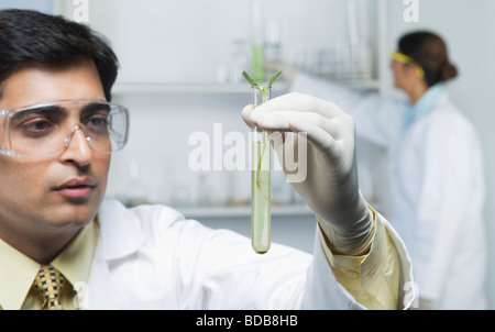 Wissenschaftler halten Pflanzen im Reagenzglas Stockfoto