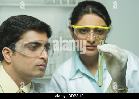 Wissenschaftler halten Pflanzen im Reagenzglas Stockfoto