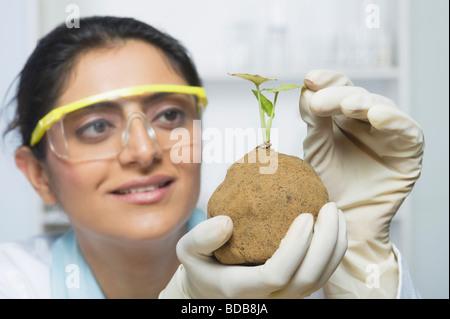 Wissenschaftler untersuchen eine Pflanze Stockfoto