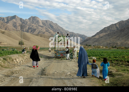 Eine afghanische Mutter und ihre Kinder gehen mit einem Gemüsestruck auf einer ländlichen Schotterstraße in der Nähe der Stadt Surobi im Osten Afghanistans. Stockfoto